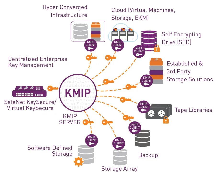 Key and bpm. Key Management solutions. Thales SAFENET. SRTP протокол. Сегмент рынка SAFENET.