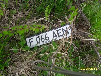 Ленинград вот будет лето поедем