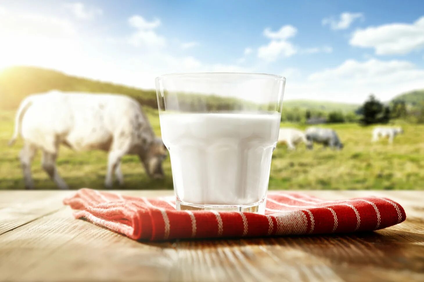Milk is on the upper shelf