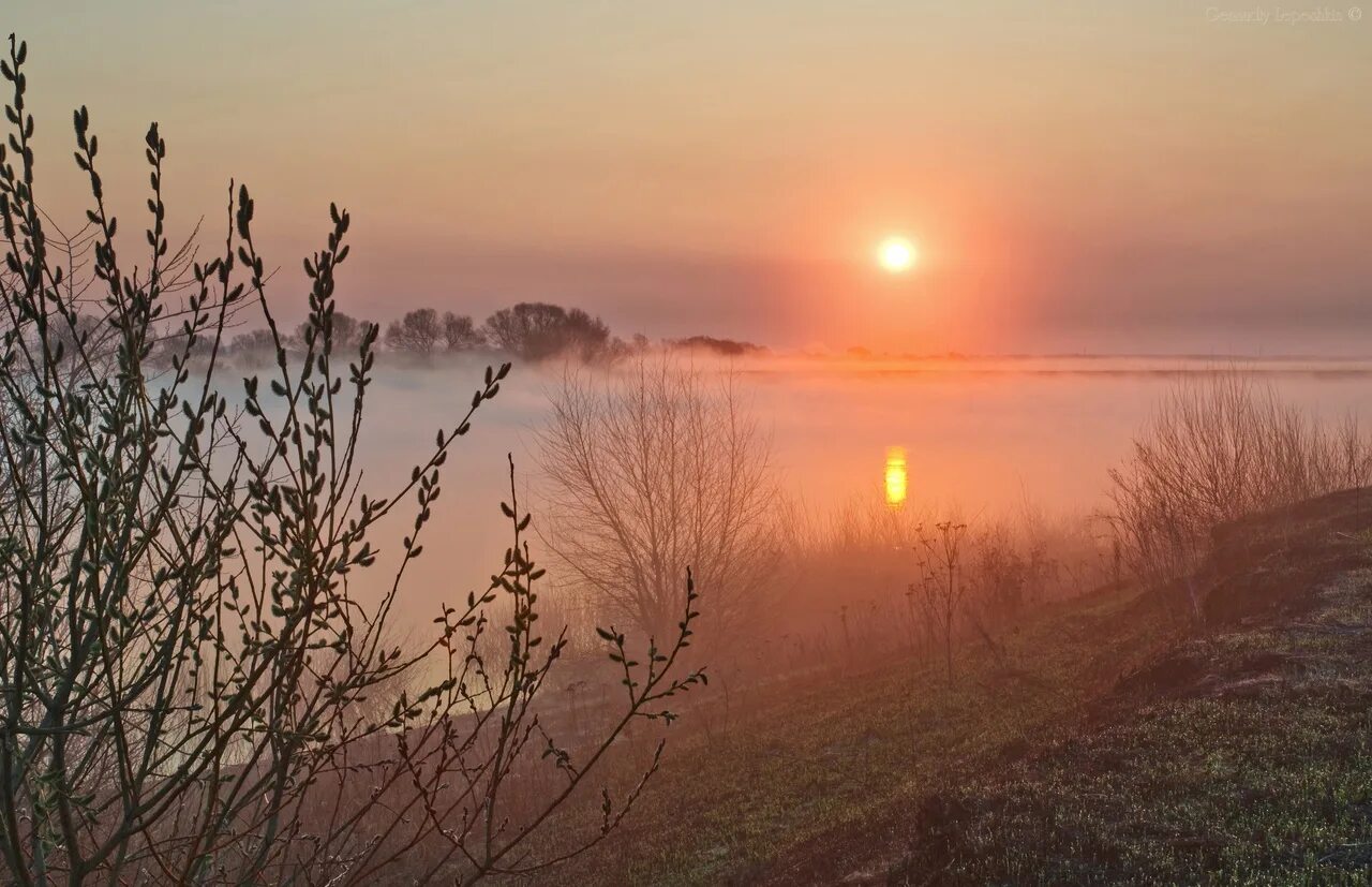 Ф.К Сологуб Забелелся туман над рекой. Природа рассвет. Весенний рассвет. Рассвет ранней весной. В бледном свете зари в кадке