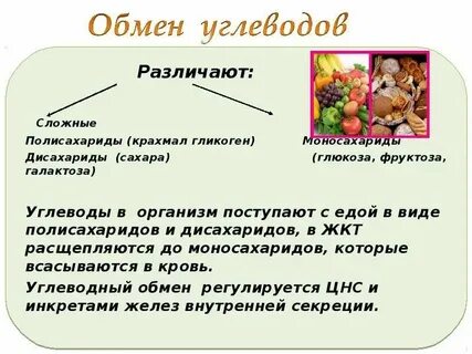 Уровень углеводов в организме