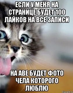 Да я поставила