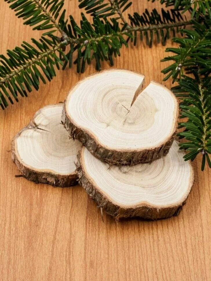 спил можжевельника. торцевые спилы можжевельника. спил дерева можжевельника.