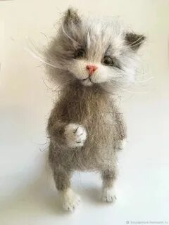 Мк котенок