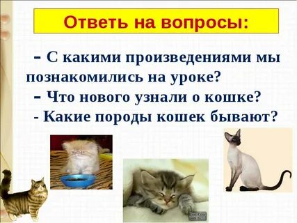 Кошки объяснение