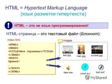 Создание web сайта web страница