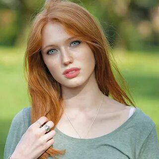 Ginger grey