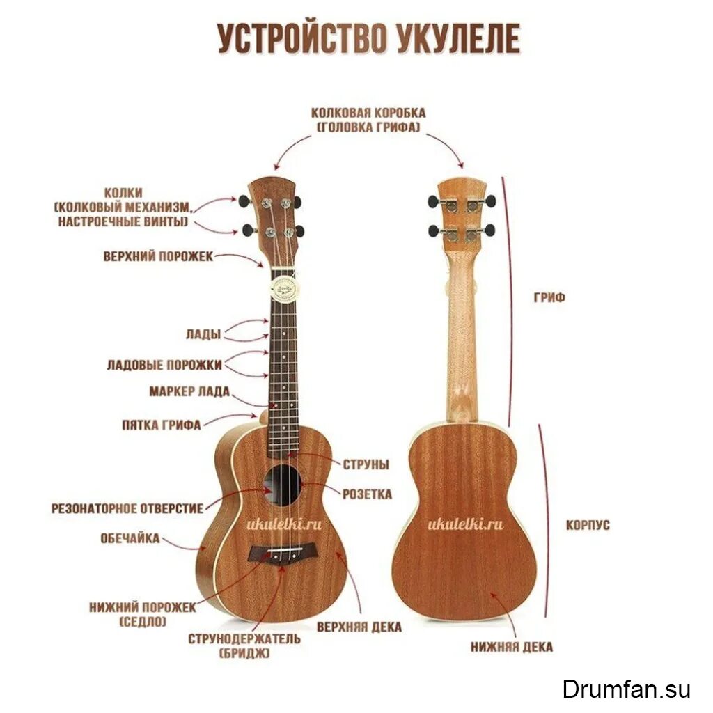 Какие гитары лучше звучат. Строение укулеле сопрано. Строение укулеле сопрано схема. Укулеле строение струн. Укулеле 4 струны.