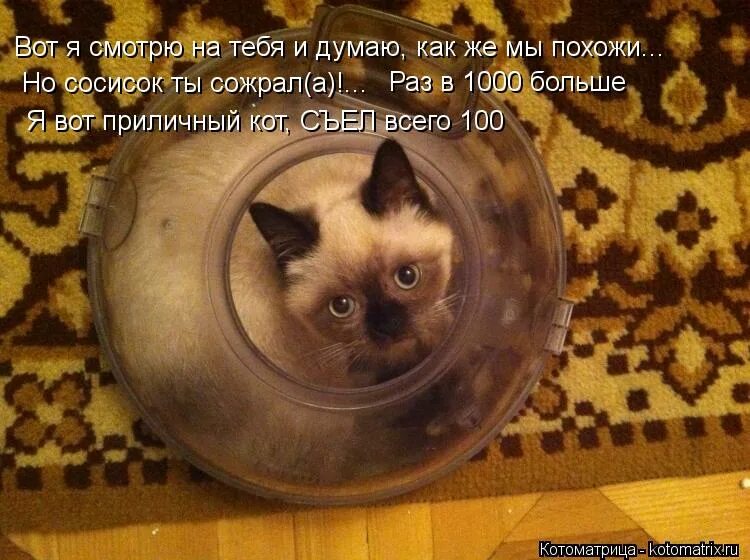 Не спрячешься я тебя найду