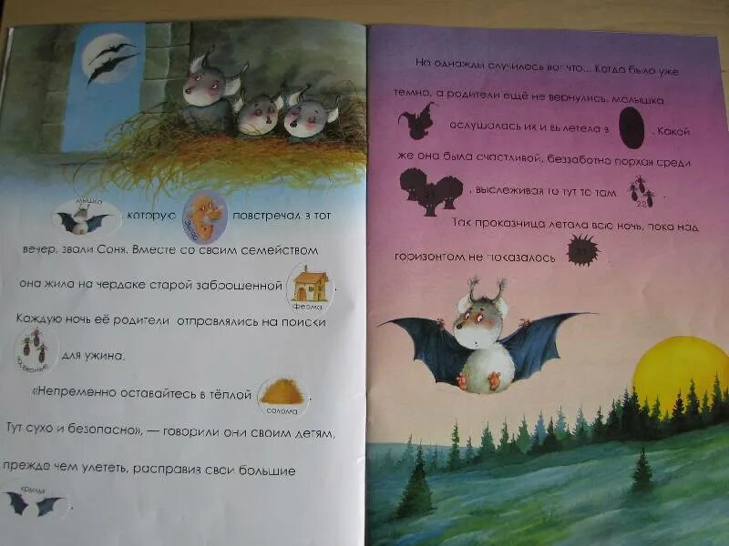 Сказка про летучую мышь. Детская книга про летучую мышь. Сказка про летучую мышку. Детские книжки про летучих мышей.