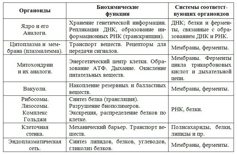 Описание строения органоидов клетки. Строение клетки название органоида строение функции таблица. строение и функции органоидов эукариотической клетки таблица. таблица эукариотическая клетка строение и функции органоидов. органоиды строение и функции таблица.