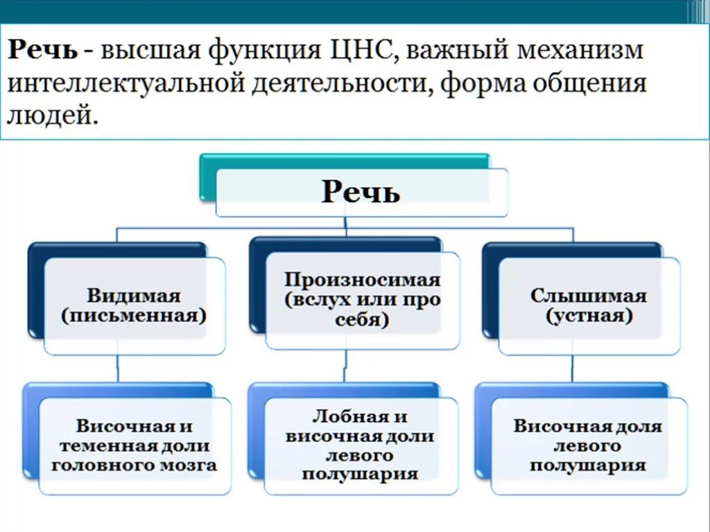 Особенности высшей нервной деятельности человека речь. Познавательные функции высшей нервной деятельности. Речь сознание Познавательные процессы 8 класс. Особенности высшей нервной деятельности человека. Высшая нервная деятельность речь.