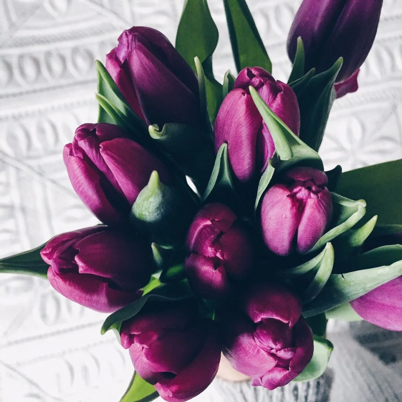 Что означают фиолетовые тюльпаны. Тюльпан Purple Bouquet. Тюльпан Пурпл леди. Тюльпан Пурпл букет. Тюльпан Бургундия.