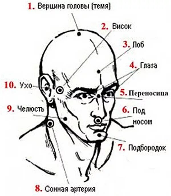 Где находится теме человека. Болевые точки на голове человека. анатомия человека болевые точки схема. болевые точки на черепе человека. схема болевых точек на теле человека для удара.