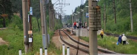 Осельки девяткино сегодня