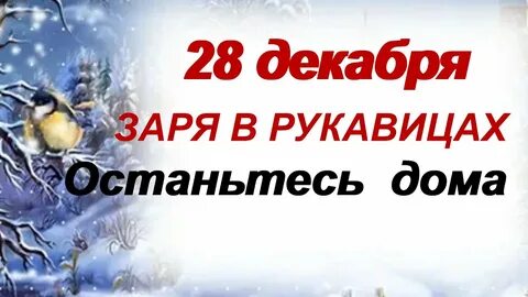 28 декабря пройдет