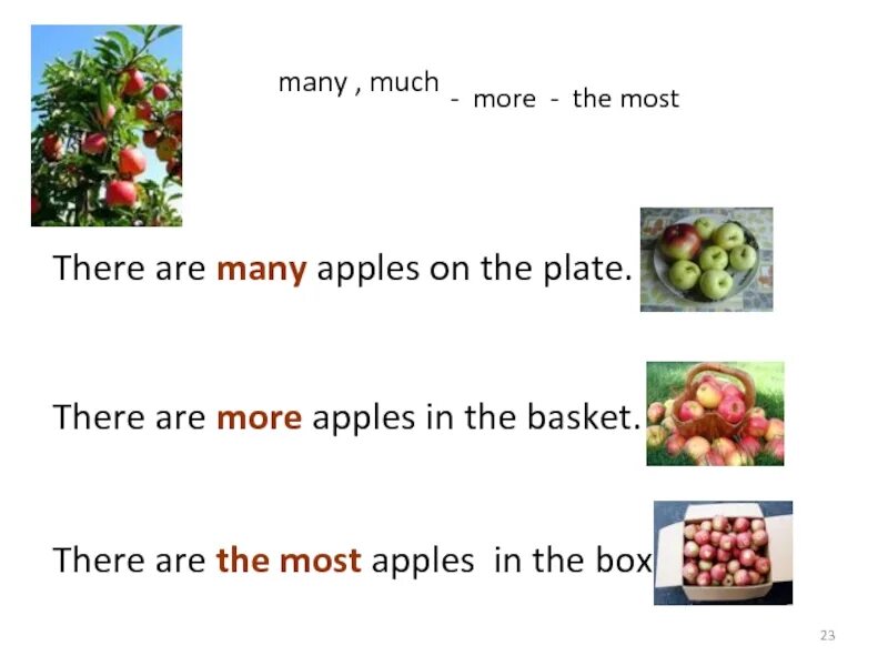 Apples much или many. There are Apples. How many Apples are there. There are Apples on the Plate.
