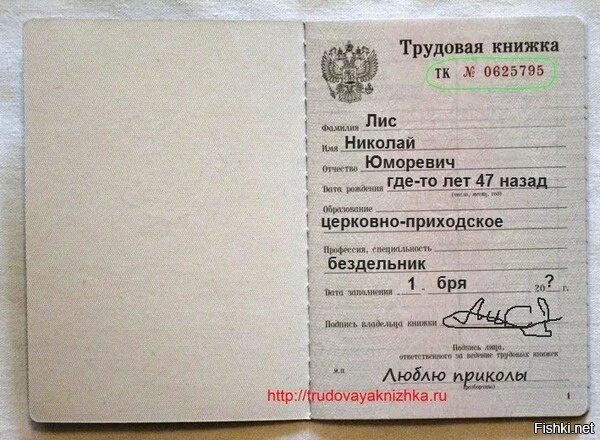 Где получить вкладыш. Наклейка в трудовой книжке. новая трудовая книжка. вкладыш в трудовую книжку. трудовая книжка с голограммой.