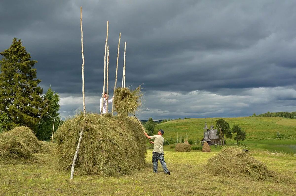 Скирда сноп. Скирда сена в сибирской деревне. Лето поле Пермский край сенокос. Деревня 1990 сенокос. Хорошо высушенное сено пора складывать в стог