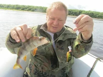 Погода в рембуево