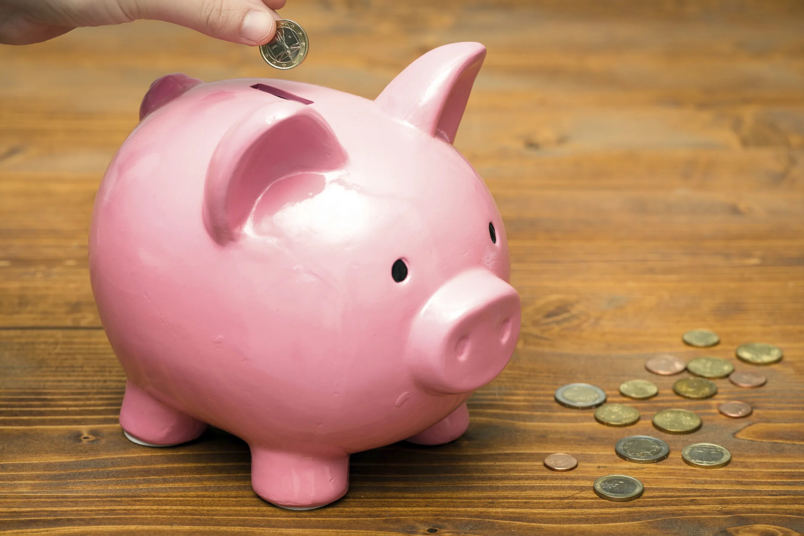 Копилка для денег. Копилка для денег для детей. Руки и свинья копилка. Более копилка. Копилки для денег детские.