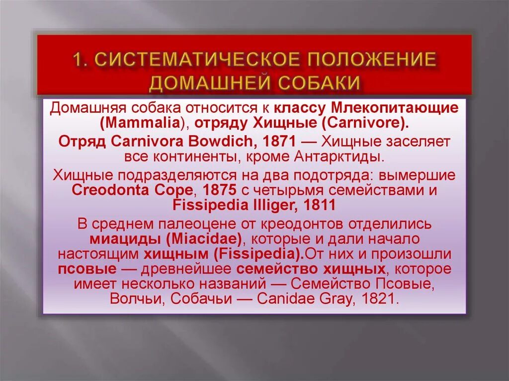 Используется для описания систематического положения животного