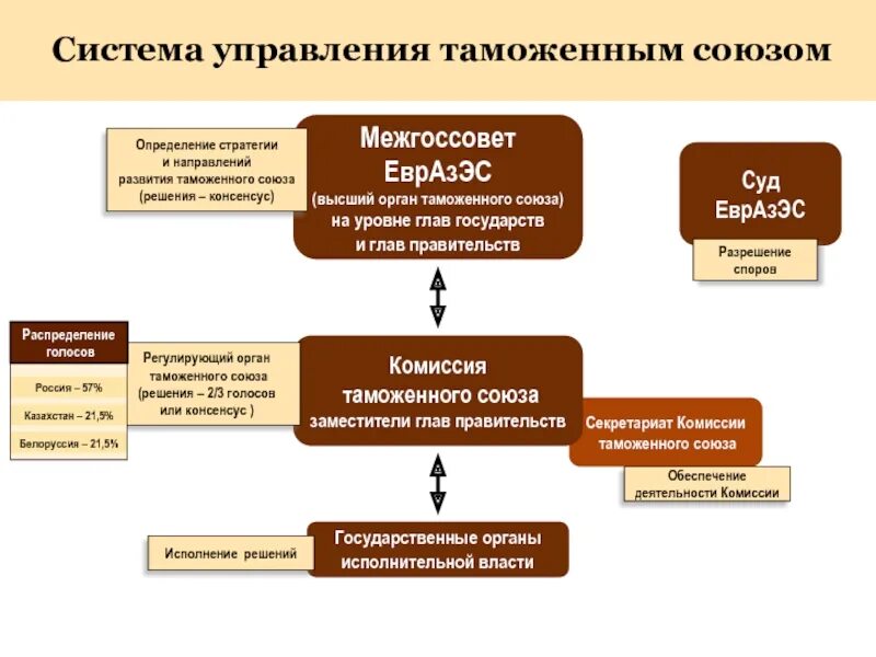 Система таможенного союза