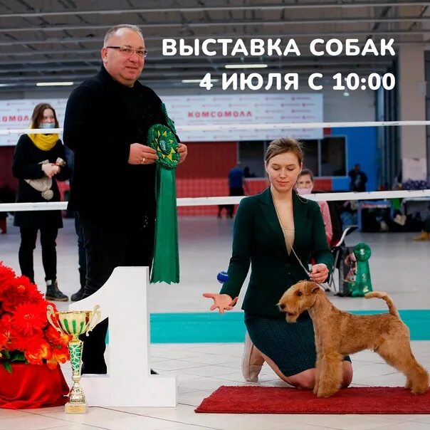 Выставка собак Екатеринбург. ТРК КОМСОМОЛЛ Екатеринбург выставка собак. Зоопортал выставки собак. Выставка собак реклама. Выставка собак ростов 2024