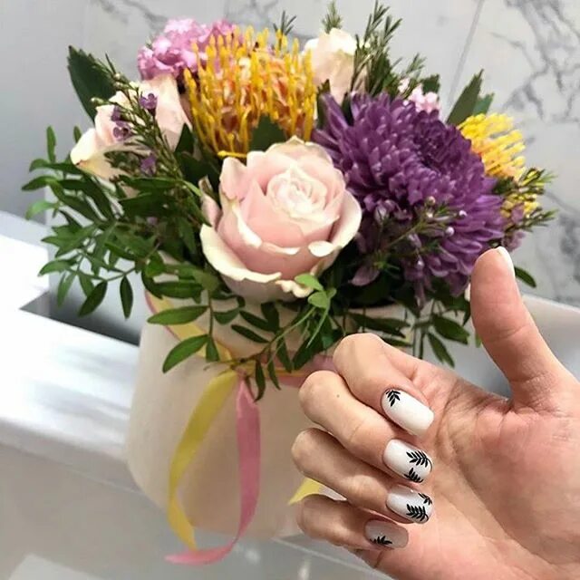 эластик нейл пенза спутник