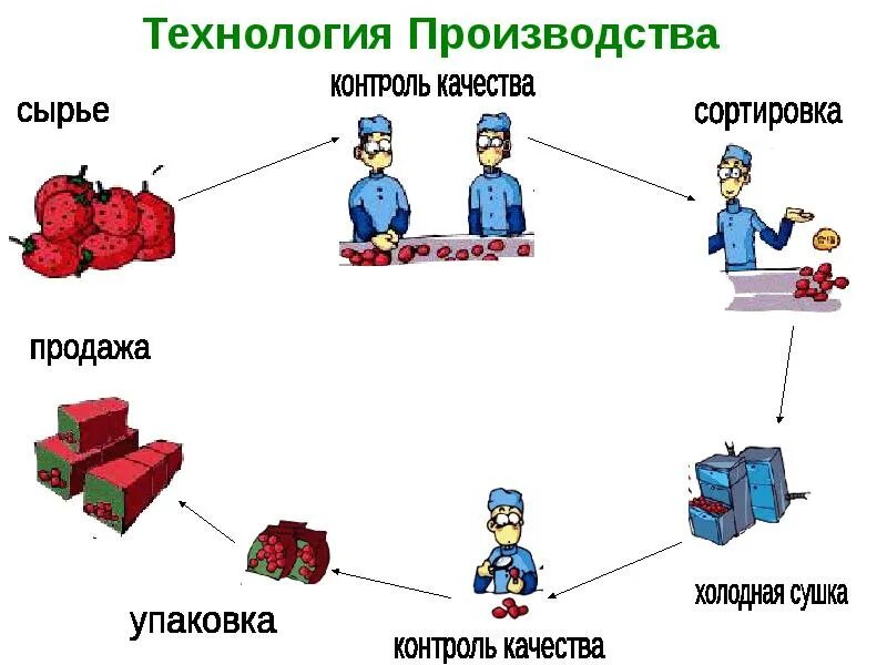 Процесс производства знаний. Схема производства чипсов. классификация чипсов схема. фото линий производства чипсов с фасовкой.