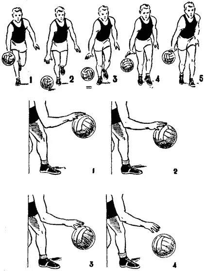 Ведение мяча с изменением высоты отскока. Ведение с низким отскоком мяча в баскетболе. Ведение с высоким отскоком мяча в баскетболе. Введение мяча в баскетболе. Скоростное ведение мяча в баскетболе.