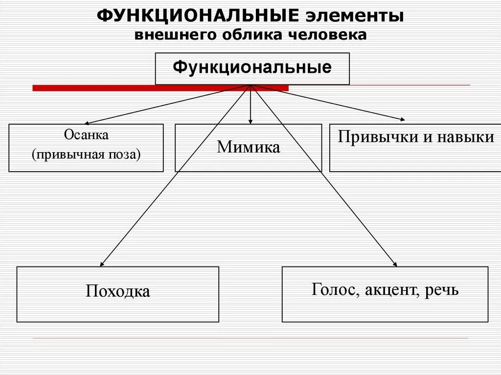 К элементам человека относят