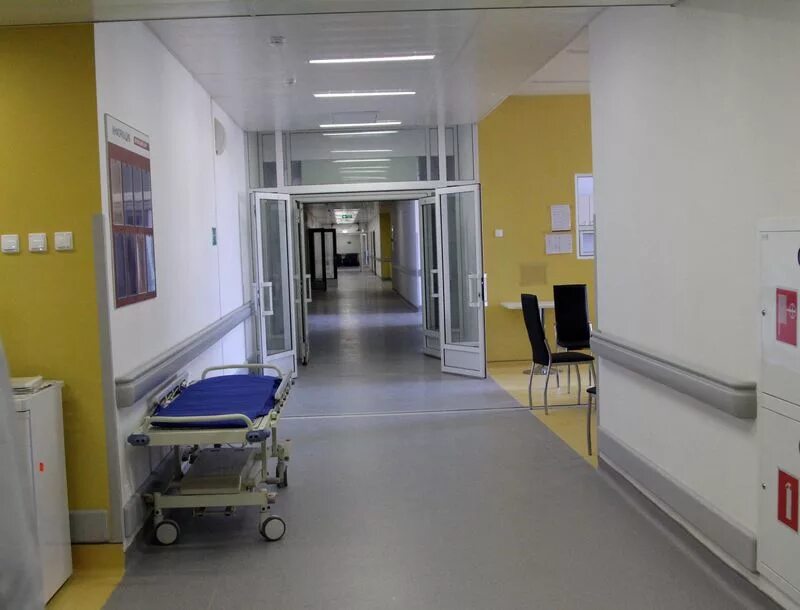 Врачи перинатального центра архангельск. Перинатальный центр архангельск платные. Перинатальный центр архангельск палаты. Перинатальный центр архангельск палаты. Перинатальный центр северодвинск.