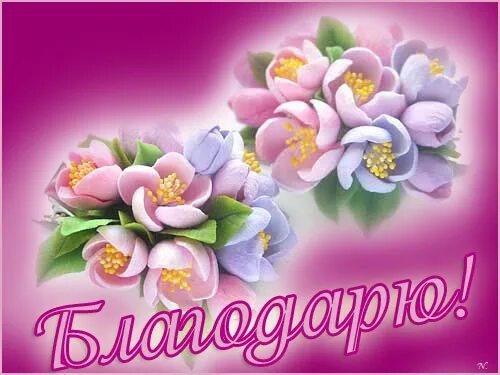 открытка спасибо за пожелания взаимно. тебя тоже с праздником. тебя тоже с праздником. спасибо и тебя с праздником. благодарю взаимно.