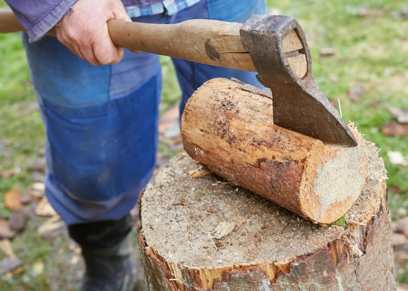 Топор для леса. Бизнес на дровах. Он брал задание на рубку дров. Он брал задание на рубку дров. Рубка деревьев.