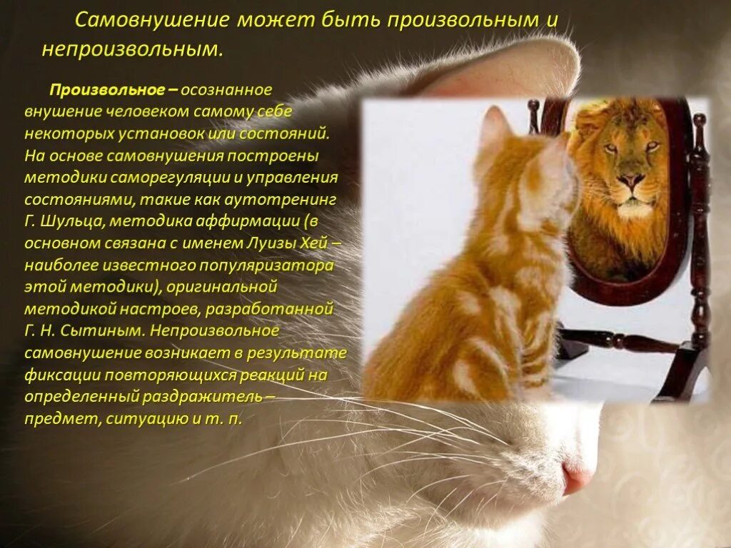 Самовнушение психотерапия. Самовнушение это в психологии определение. Внушение и самовнушение. Самовнушение психотерапия. Самовнушение психотерапия.