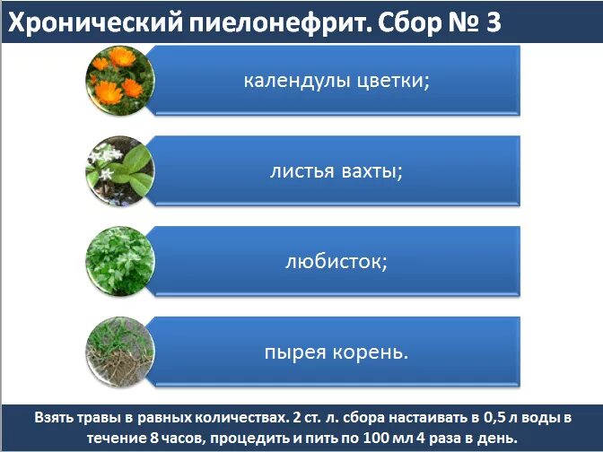 Пиелонефрит травы какие. Лекарственные травы при хроническом пиелонефрите. Толокнянка лист (50 гр). Хронический пиелонефрит фитотерапия. Лекарственные травы рекомендуемые при хроническом пиелонефрите.
