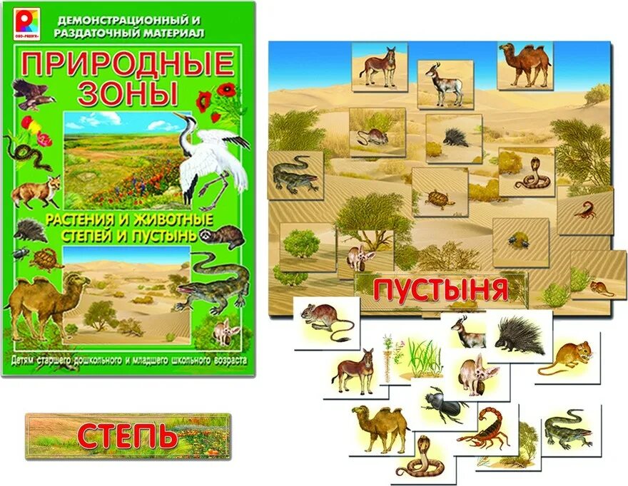 Игры природные зоны россии