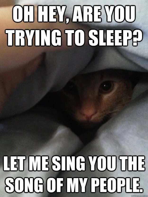 You sing well перевод. Let me Sing you the Song of my people. Are you trying to Sleep шаблон. Me trying to Sleep. Сонгс Мем.