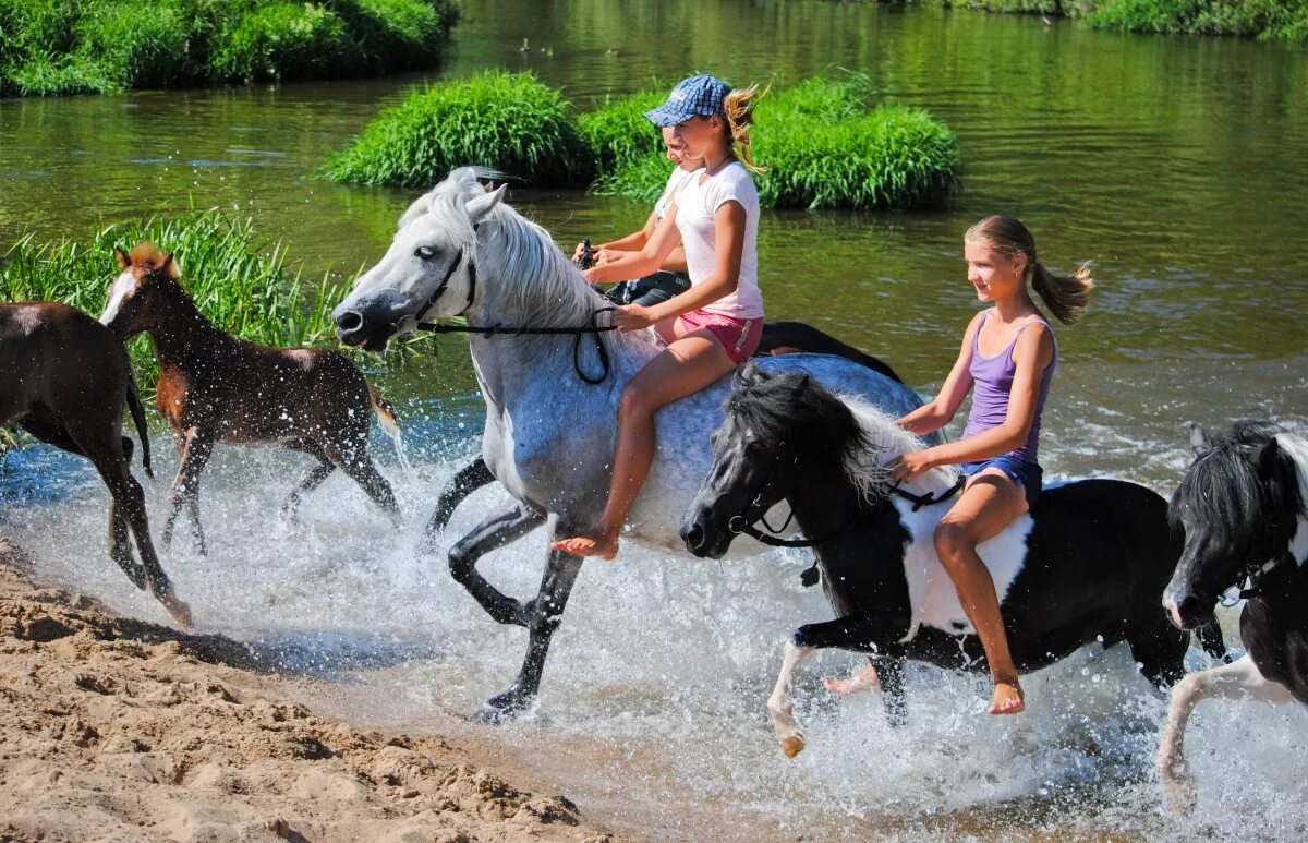 Лошадь для детей. Катание на лошадях дети. Дети ездят на лошадях. Лошадь для детей. Дети ездят на лошадях.