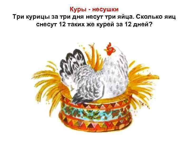 3 куры за 3 дня несут
