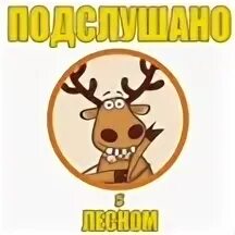 Подслушано в лесном свердловской
