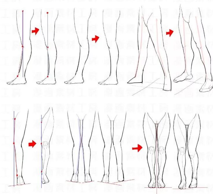 Leg reference