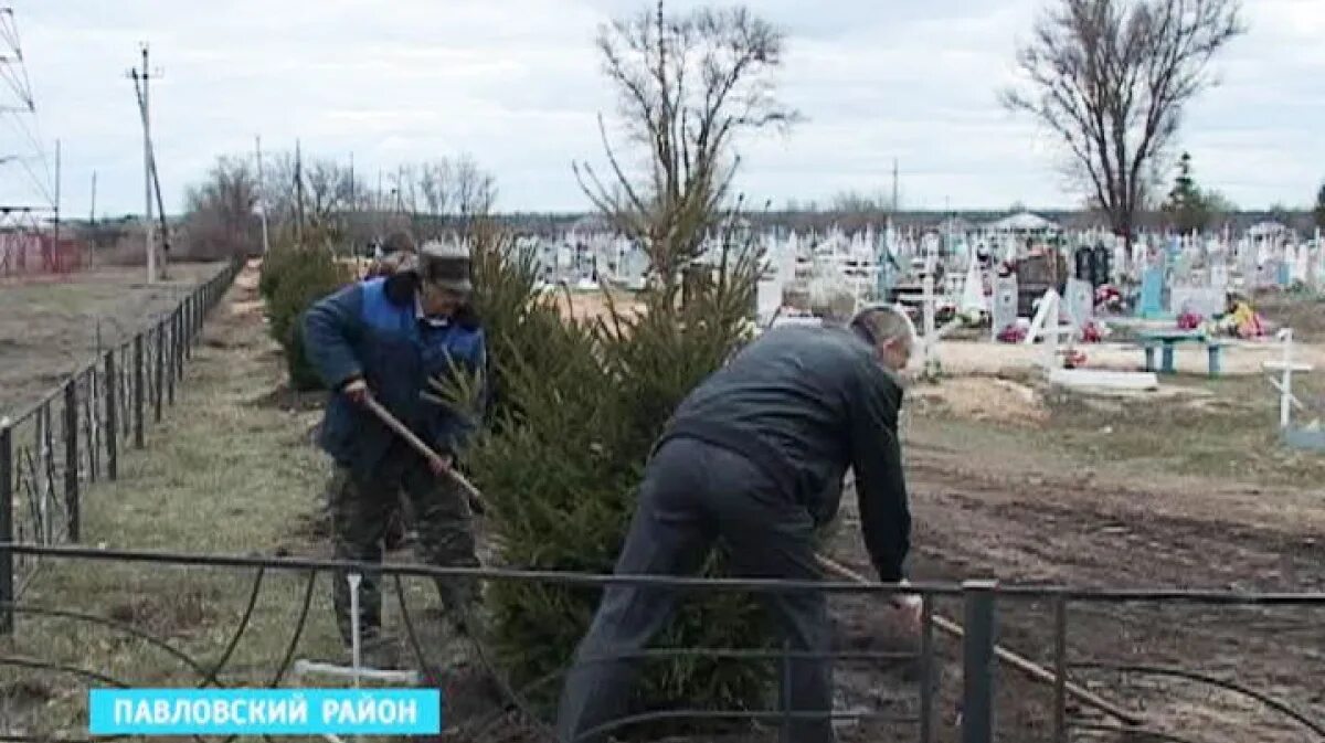 Погода в р буйловке павловского. Село украинская буйловка. Погода в р буйловке павловского. Погода в р буйловке павловского. Села р буйловка.