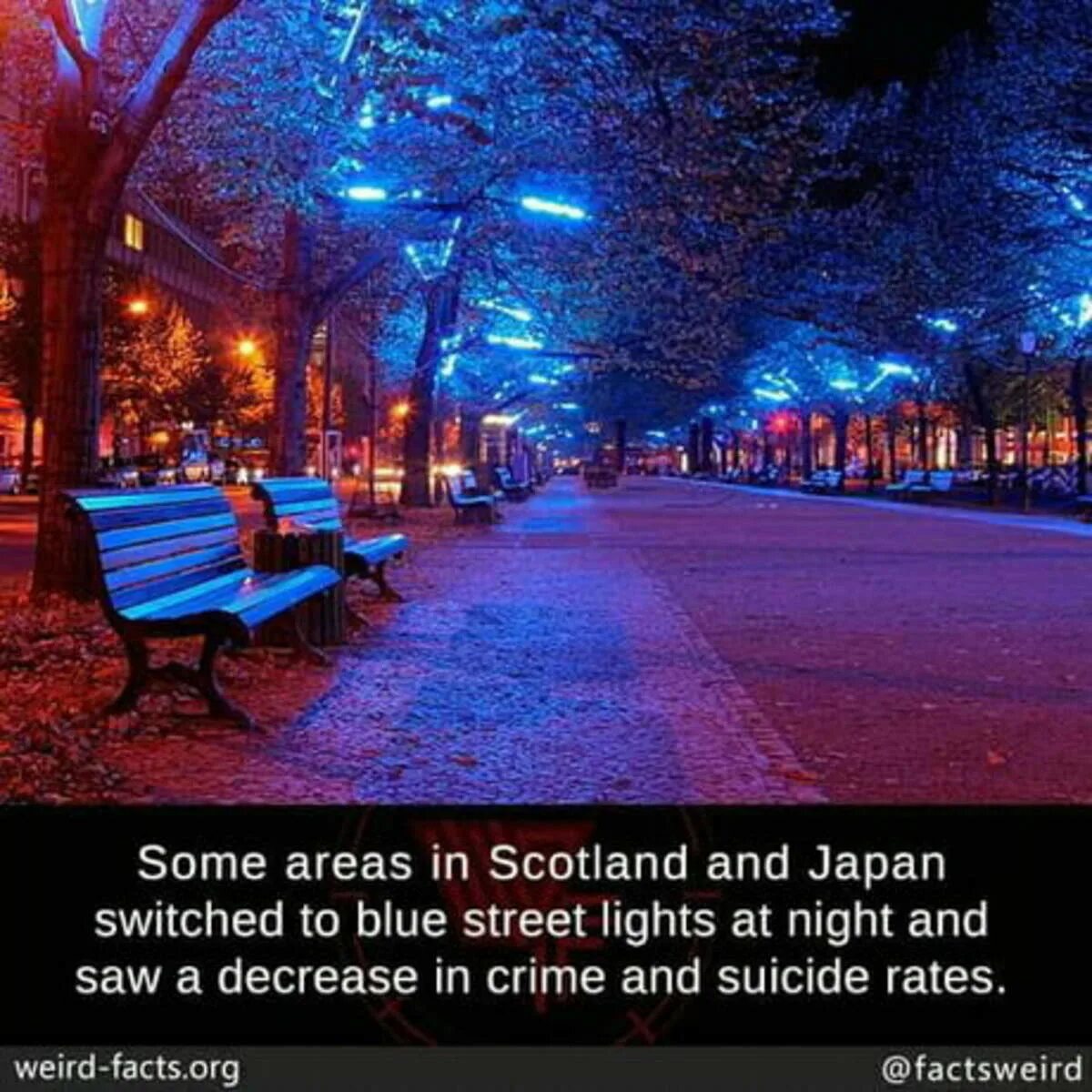 Utility room перевод. Нац парк килларни. Дом pixabay. Грин парк англия. Connectors of cause.