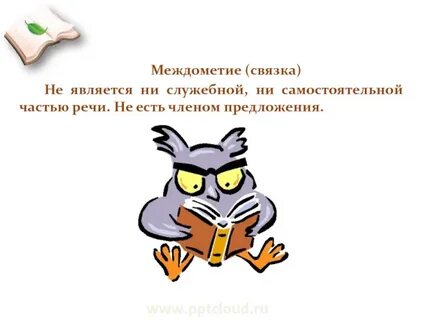 Не отнесен ни к одной