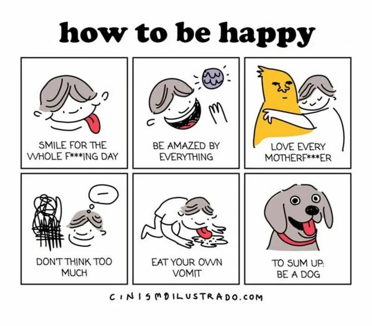 How to be happy. Карикатура not happy still not happy. not every dog is happy on christmas.