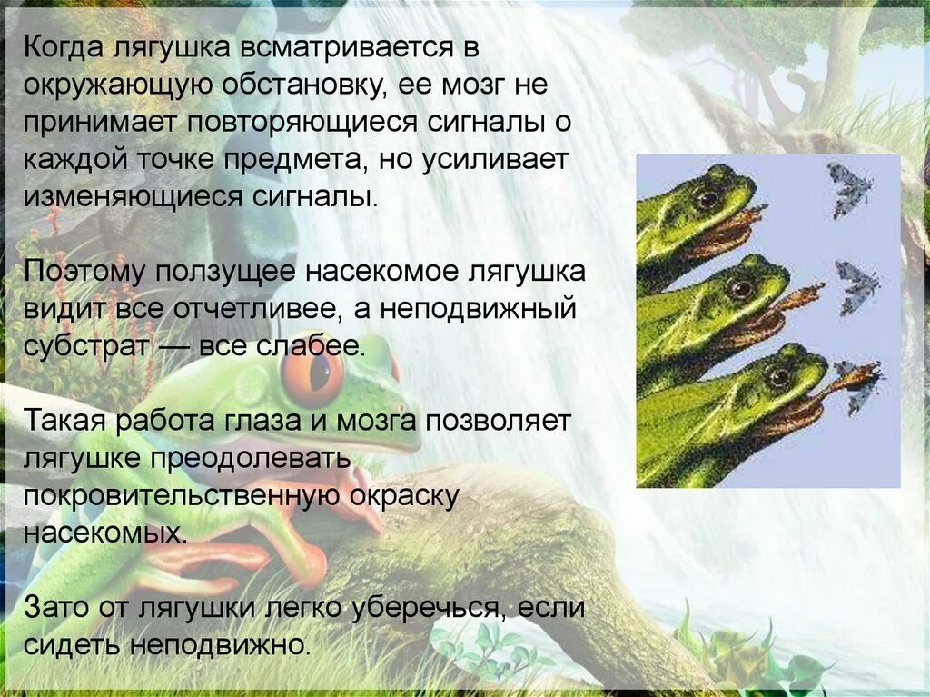 Тест по теме земноводные 7 класс биология