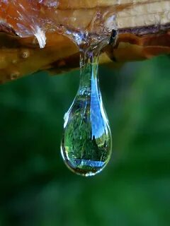 Слезы даны вода
