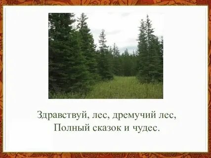 Чем дальше в лес текст